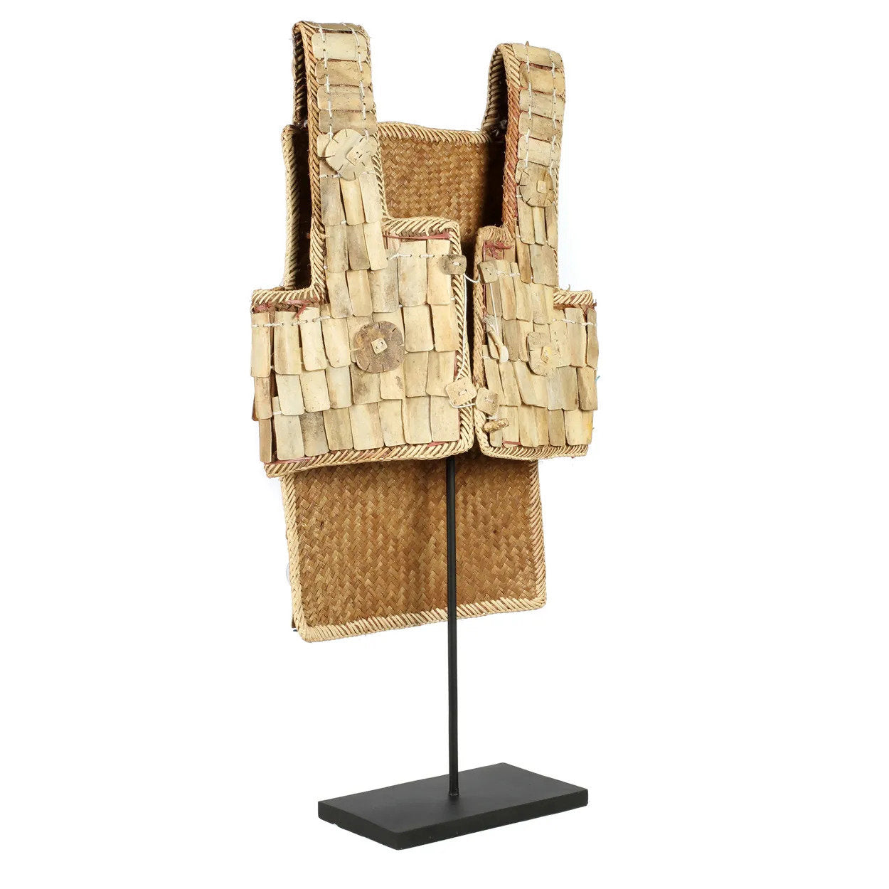 the-warrior-on-stand