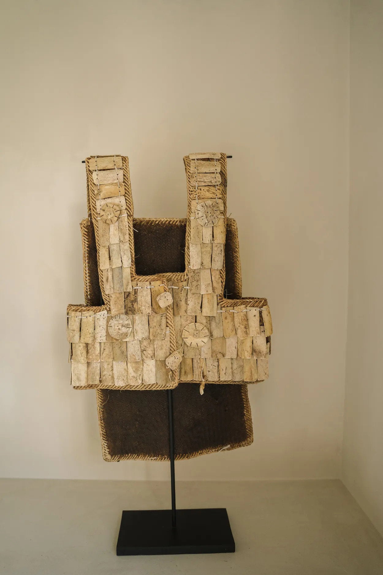 the-warrior-on-stand