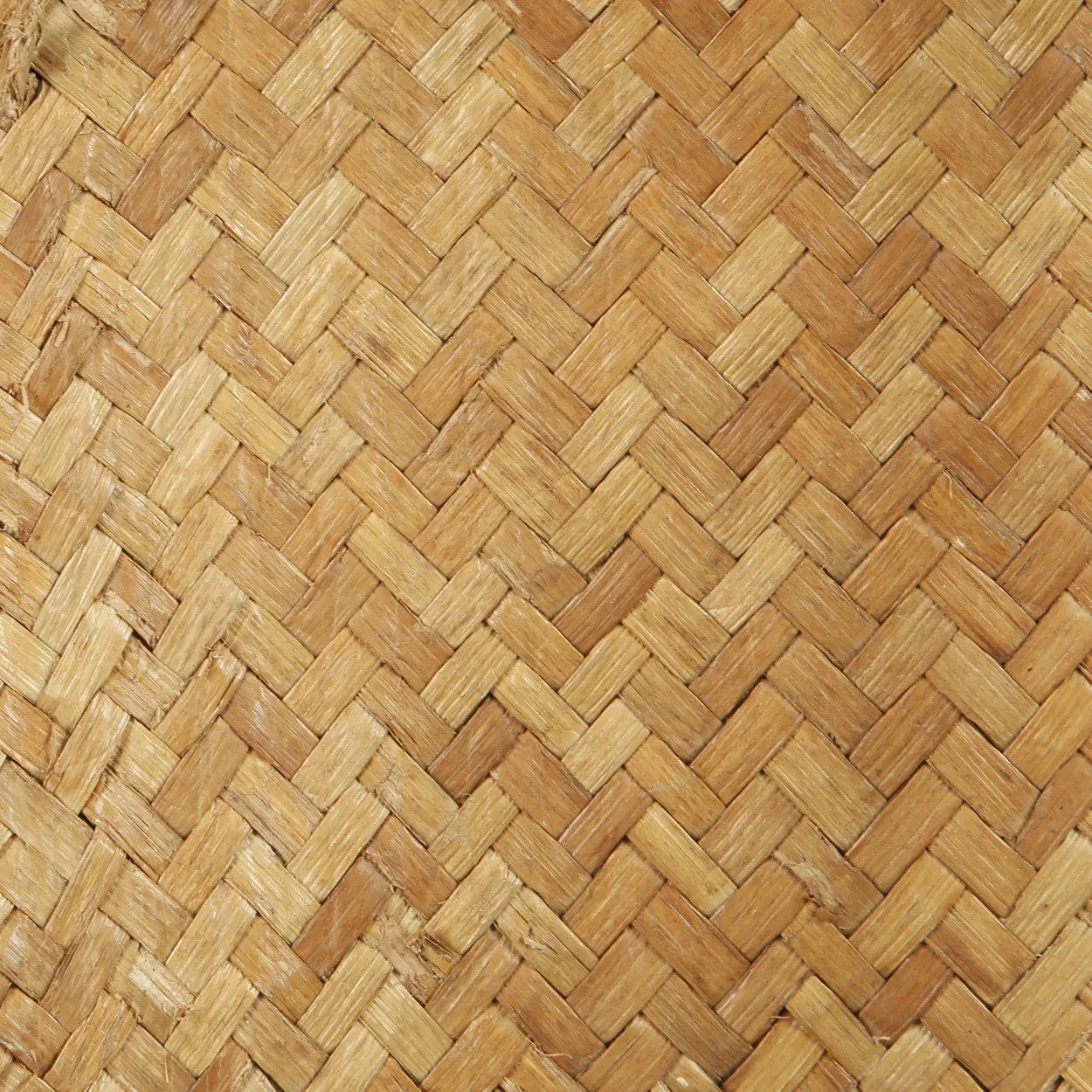 the-warrior-on-stand