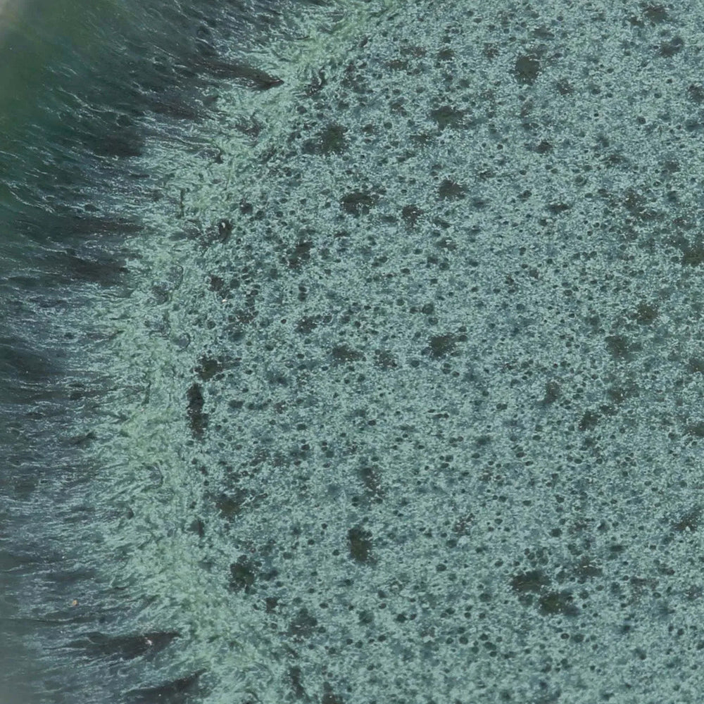 the-aqua-dinner-plate