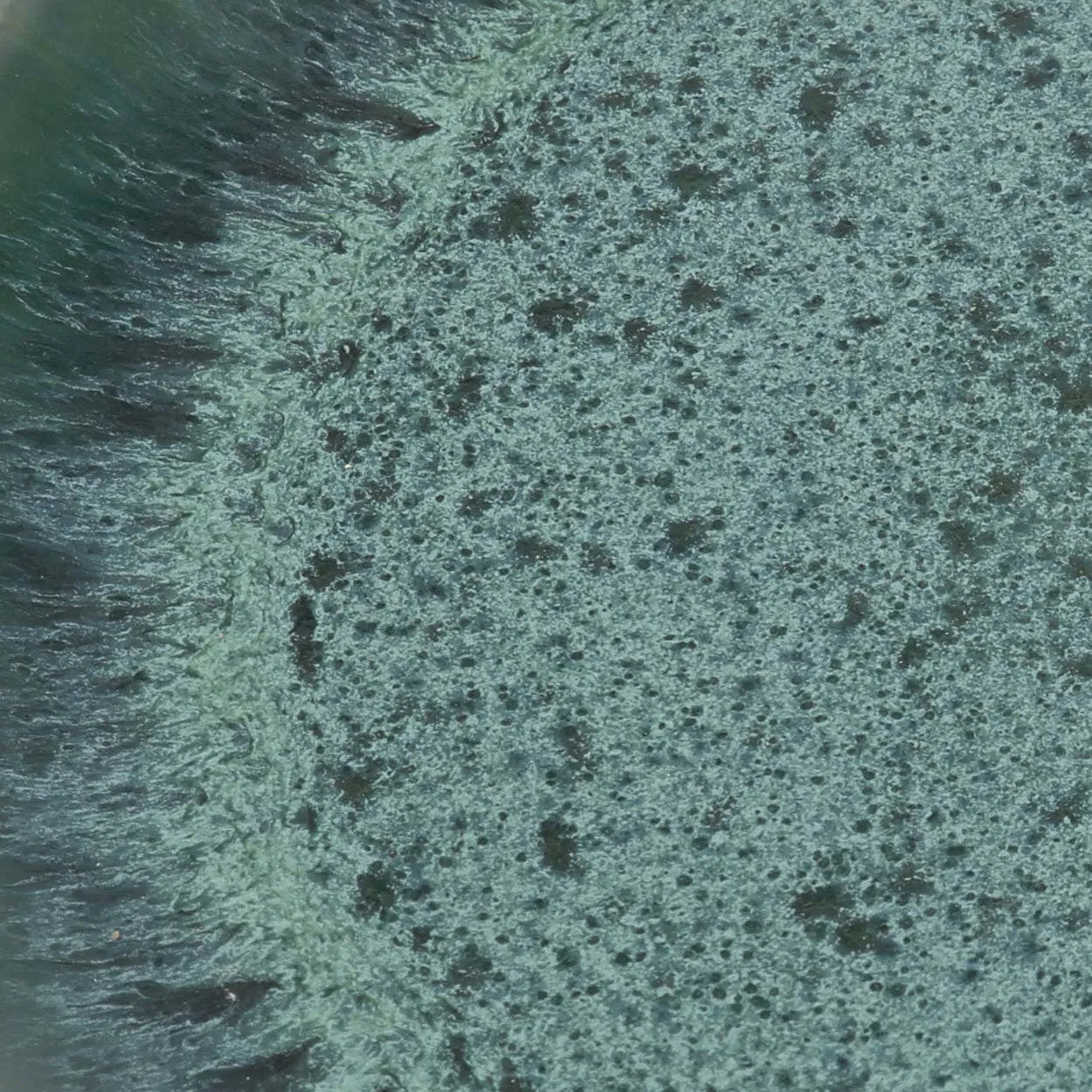 the-aqua-salad-plate