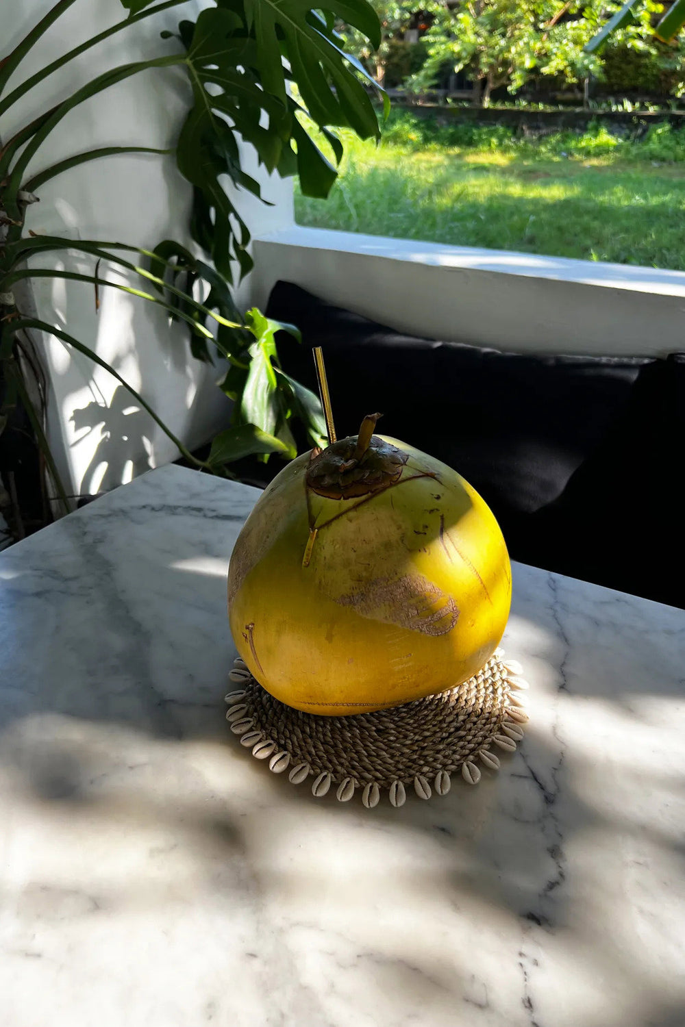 the-seagrass-shell-pan-coaster-natural