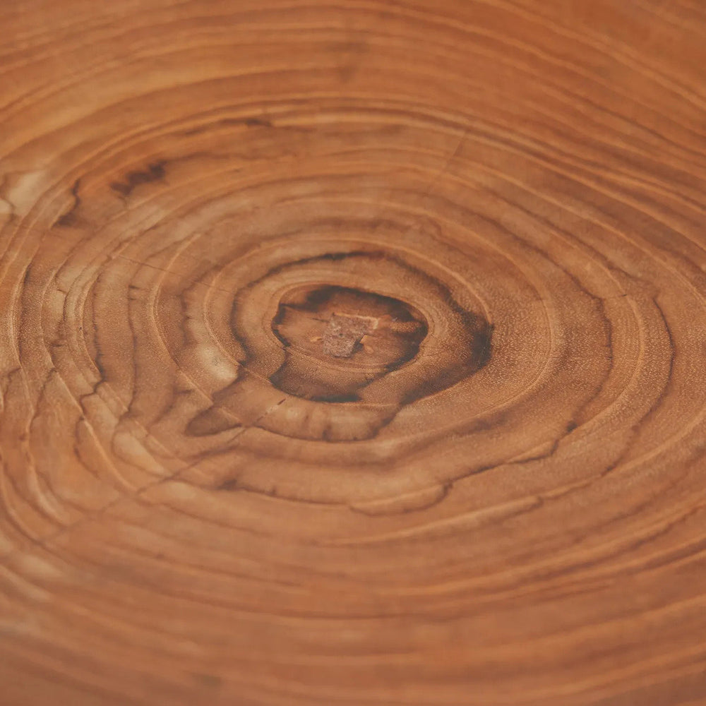 the-teak-root-organic-plate