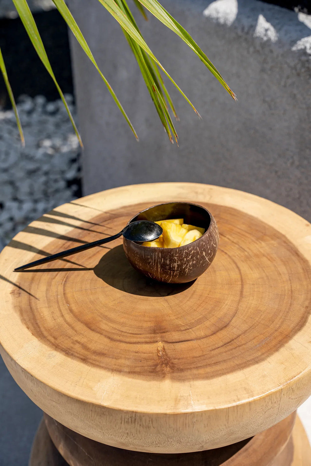 the-coco-food-bowl-natural-black