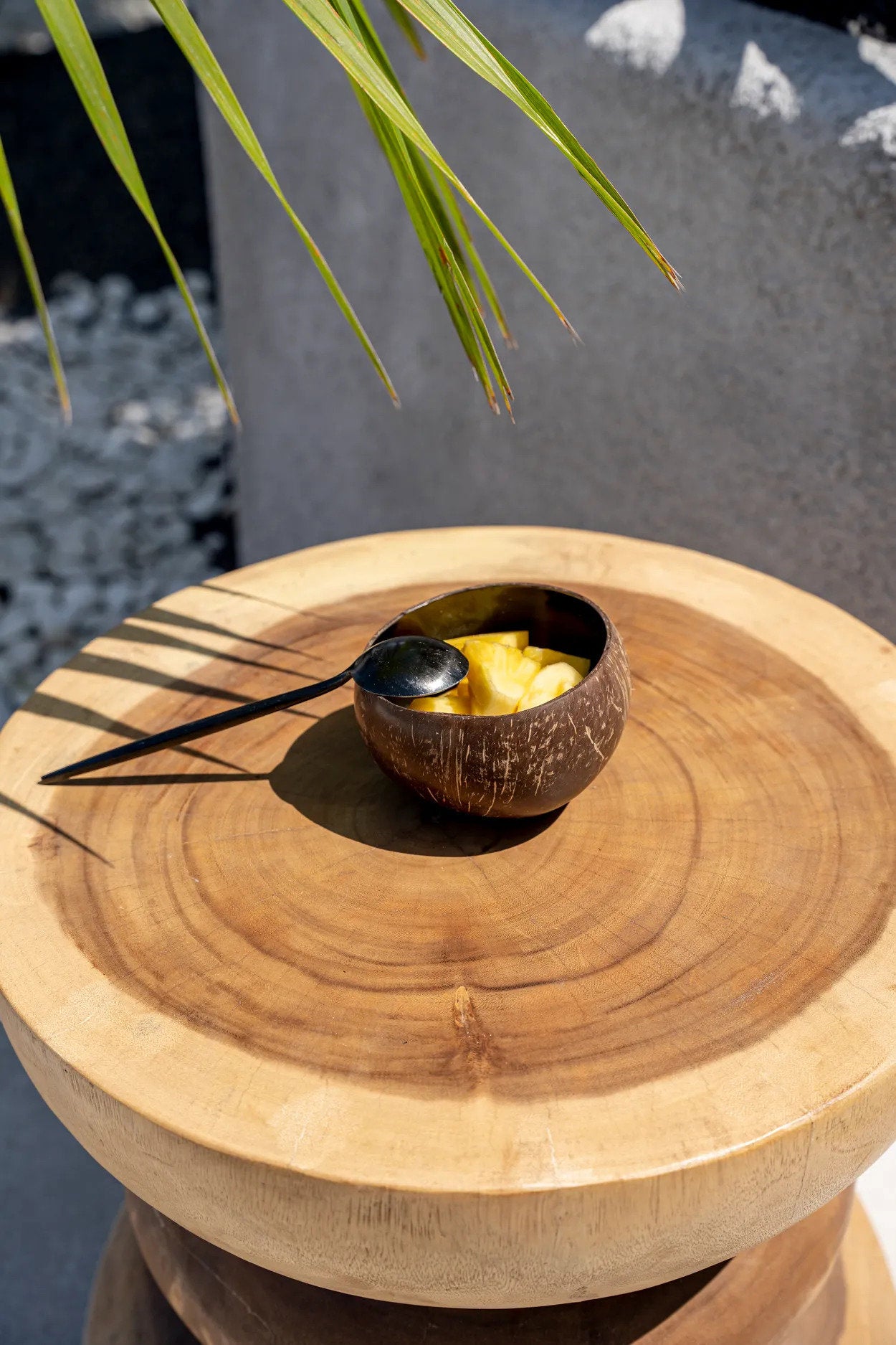 the-coco-food-bowl-natural-black