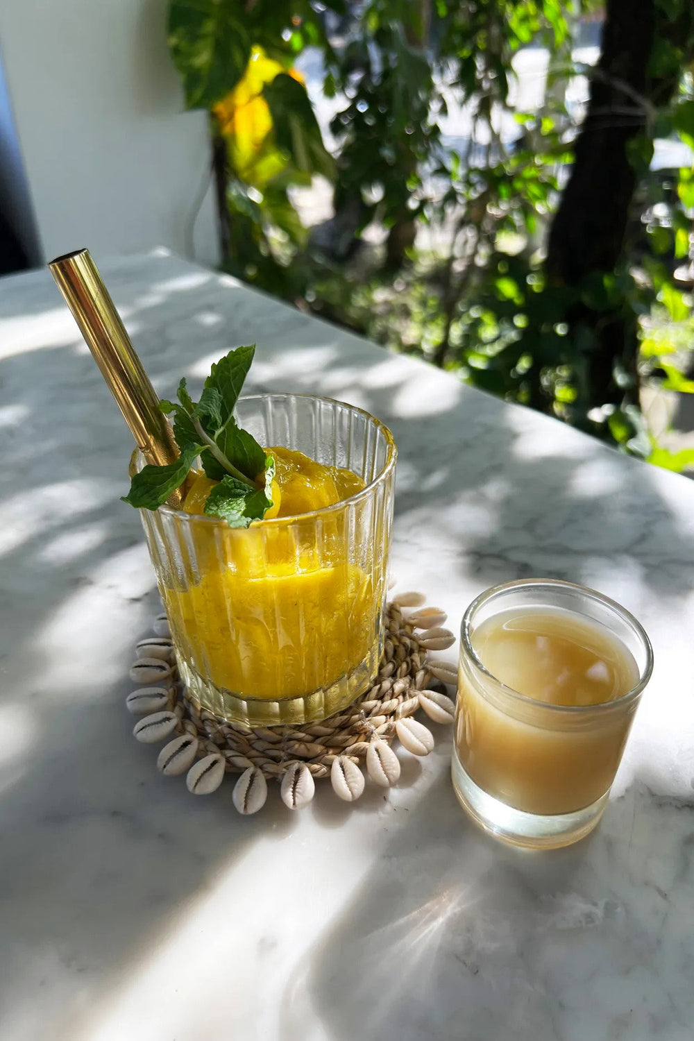 the-seagrass-shell-coaster-natural