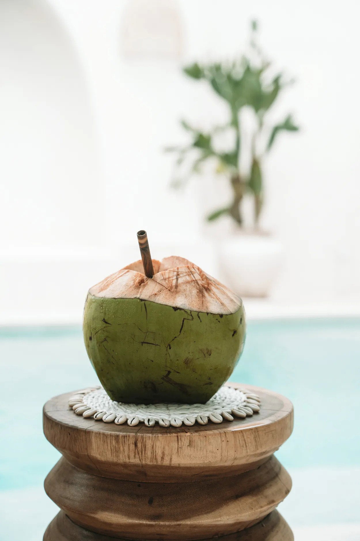 the-seagrass-shell-pan-coaster-white