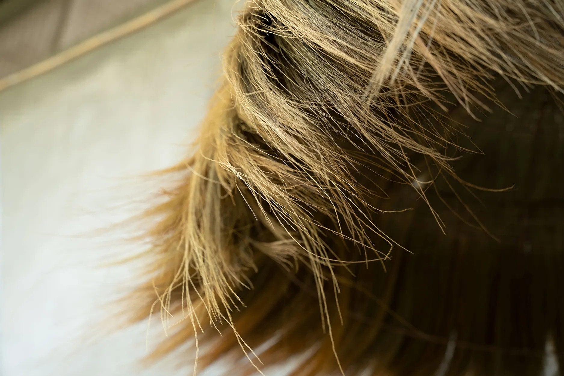 the-makiki-pendant-natural-xl