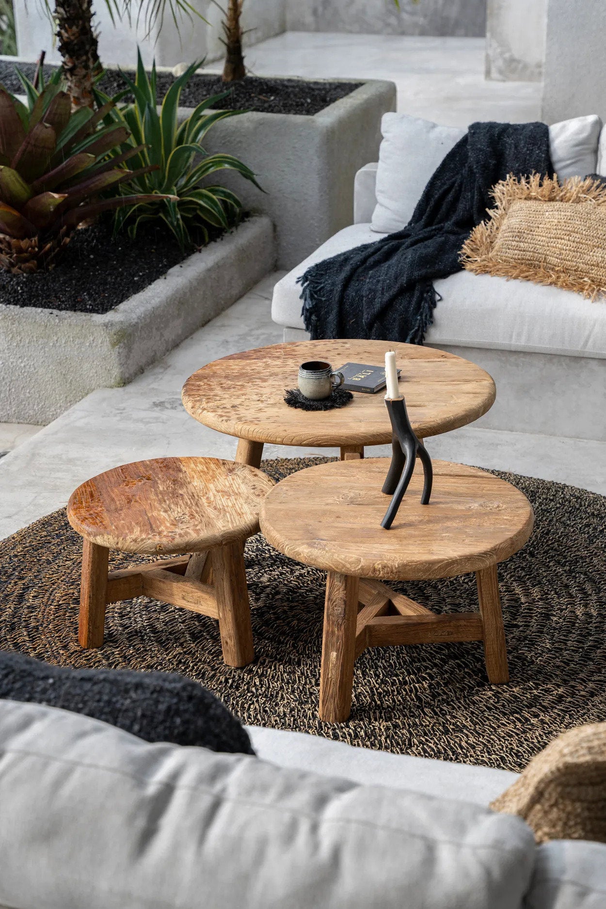 the-seagrass-carpet-natural-black-200