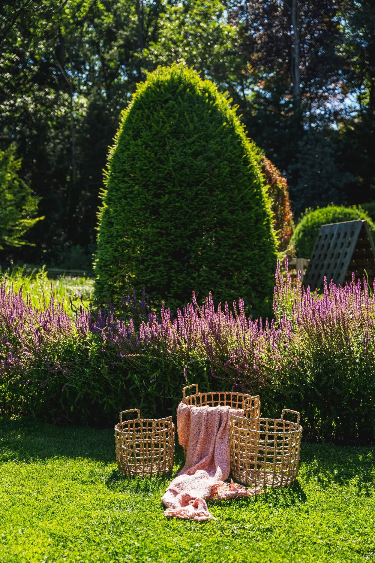 the-sil-vous-plaid-salmon-pink