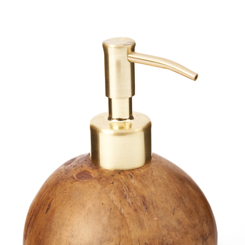 the-coconut-soap-dispenser
