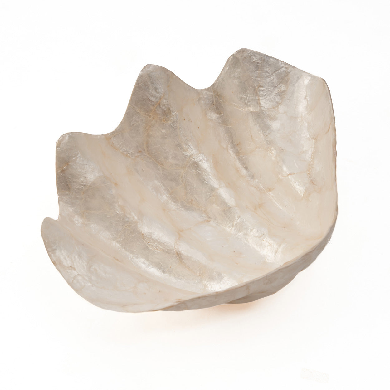 the-mother-of-pearl-soap-dish-white-m