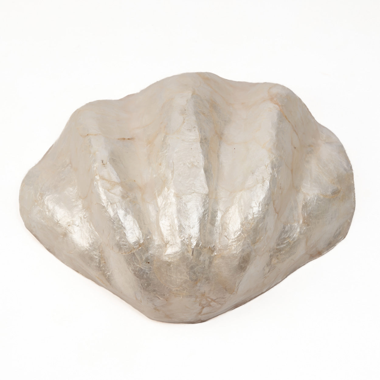 the-mother-of-pearl-soap-dish-white-m