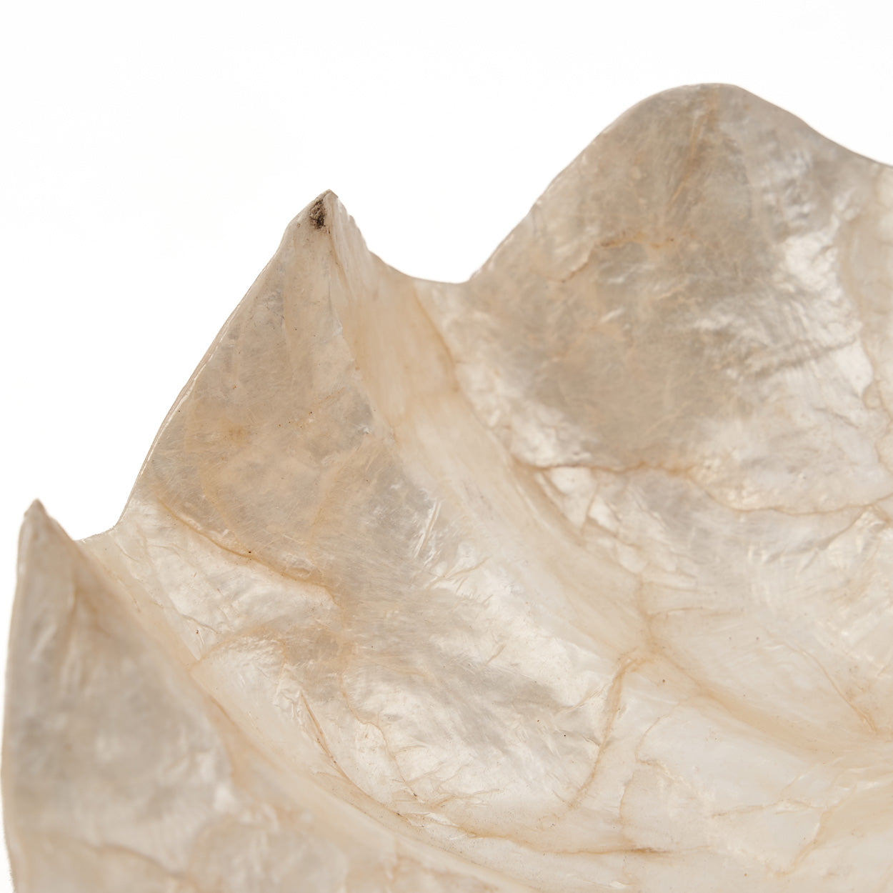 the-mother-of-pearl-soap-dish-white-s