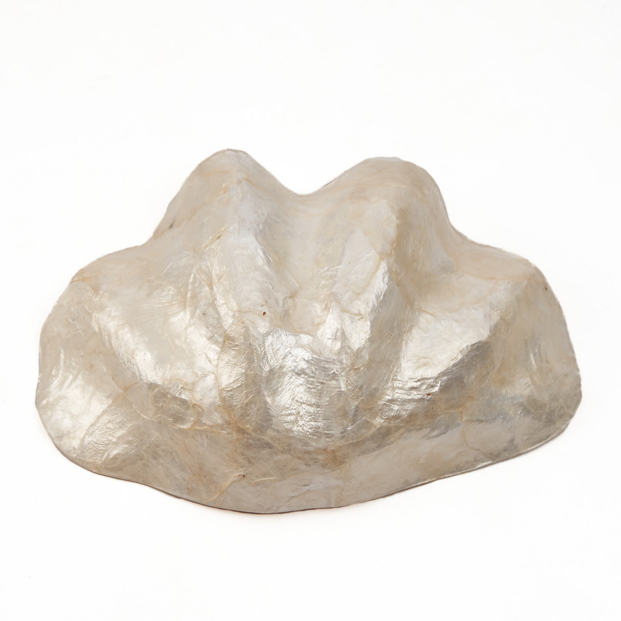 the-mother-of-pearl-soap-dish-white-s