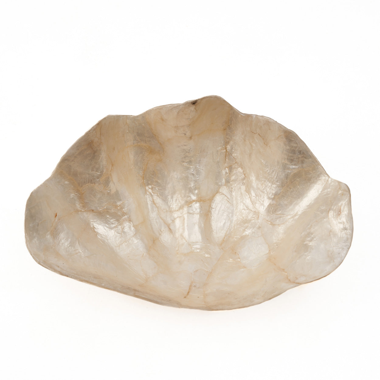 the-mother-of-pearl-soap-dish-white-s