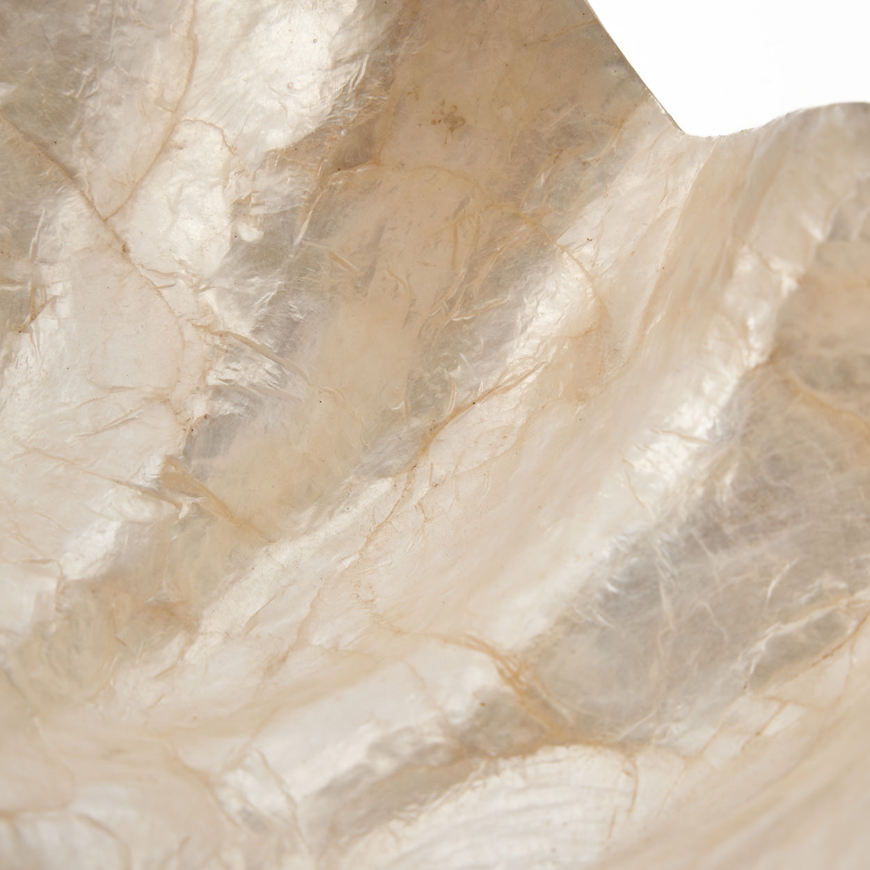 the-mother-of-pearl-soap-dish-white-s