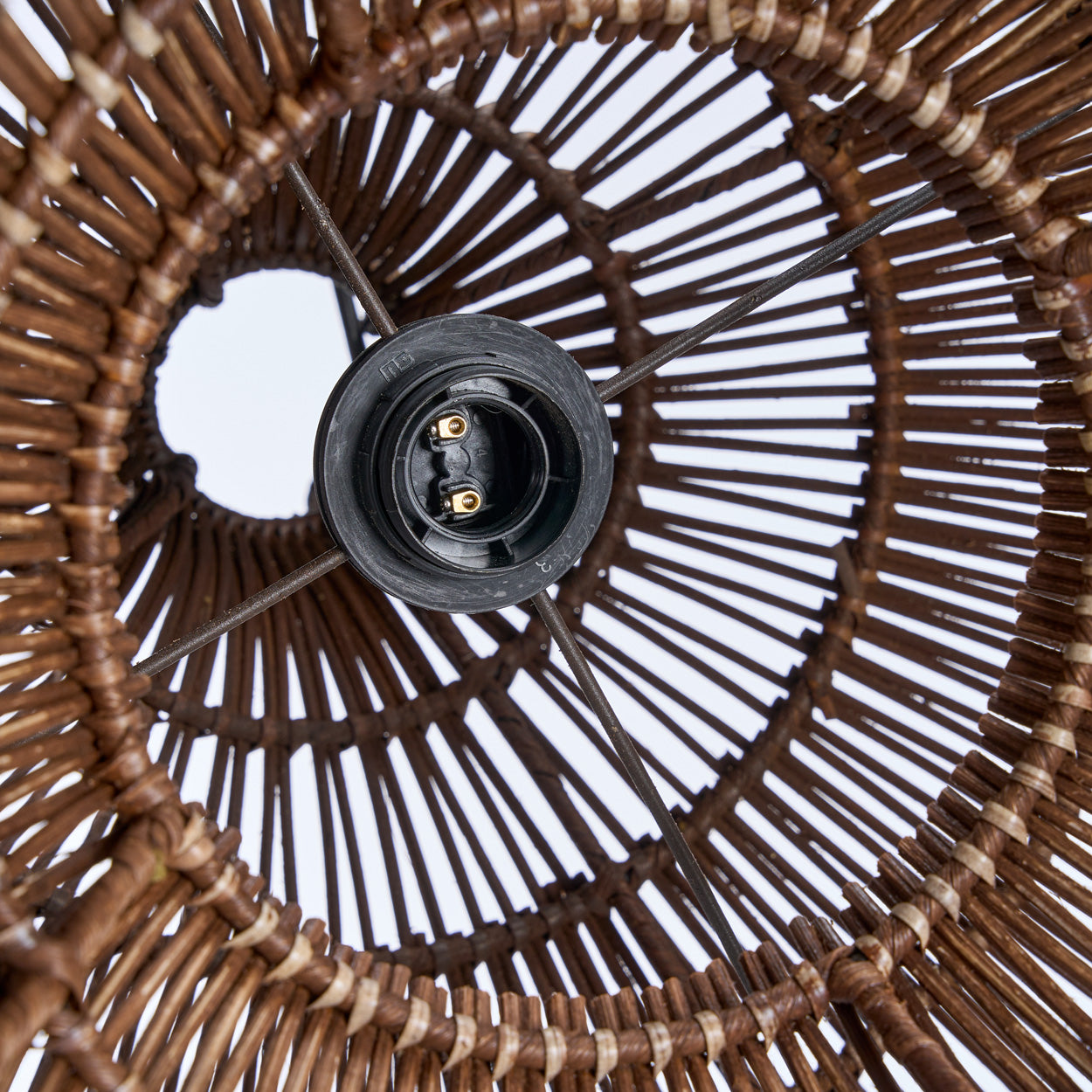 the-desert-gourd-pendant-dark-walnut-s