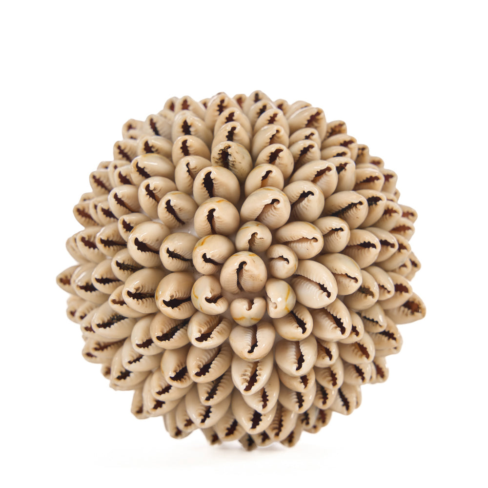 shell-ball-s