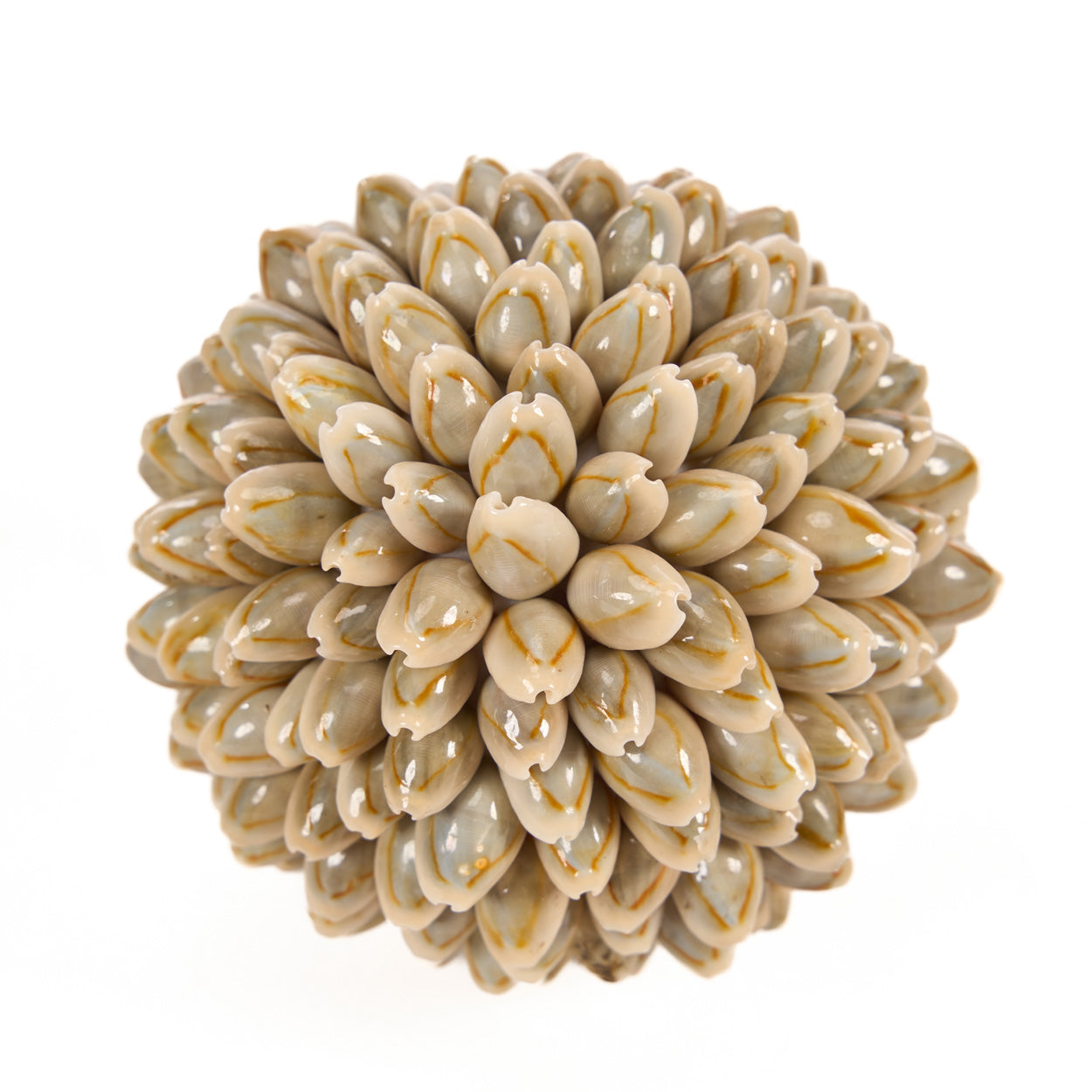 shell-ball-s