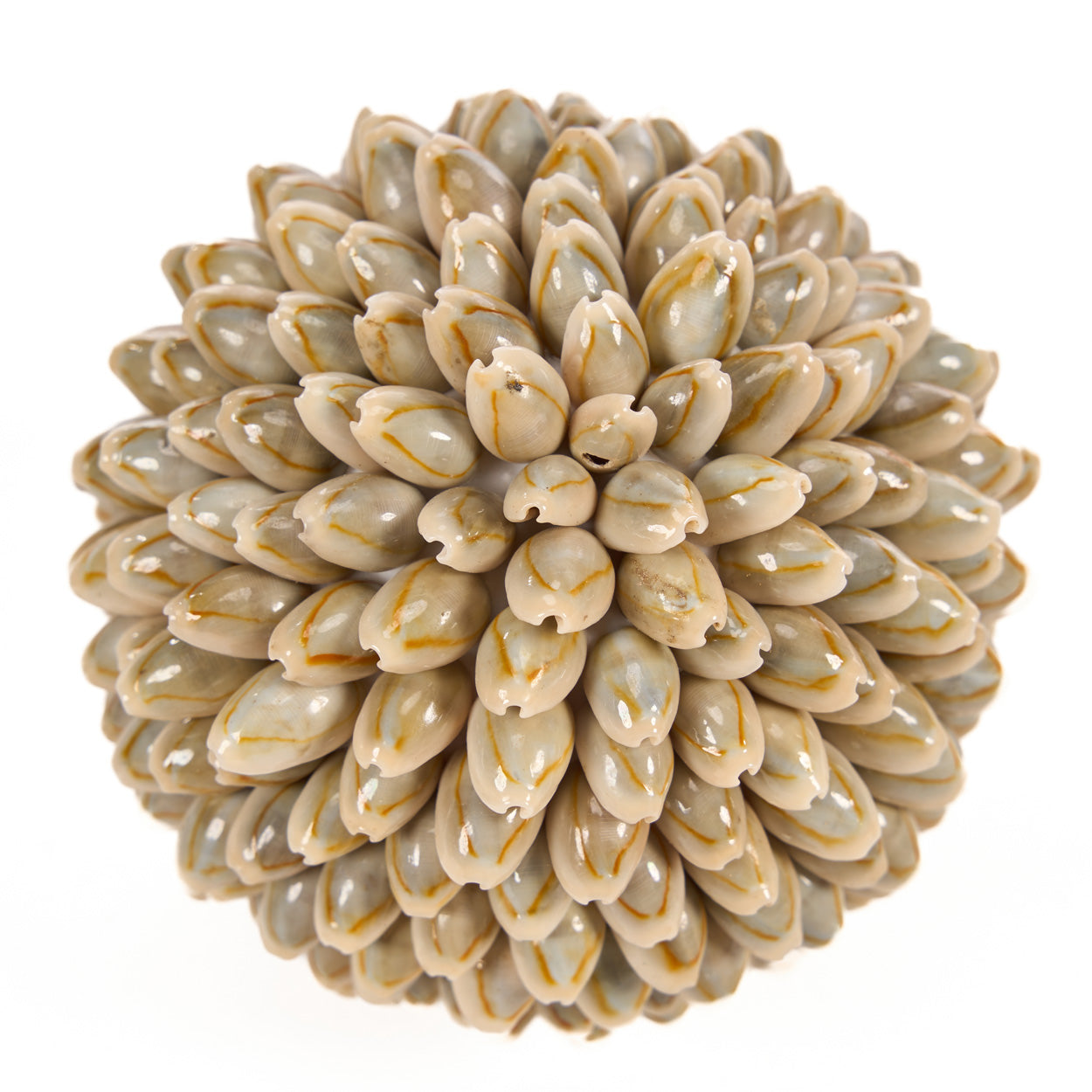 shell-ball-m