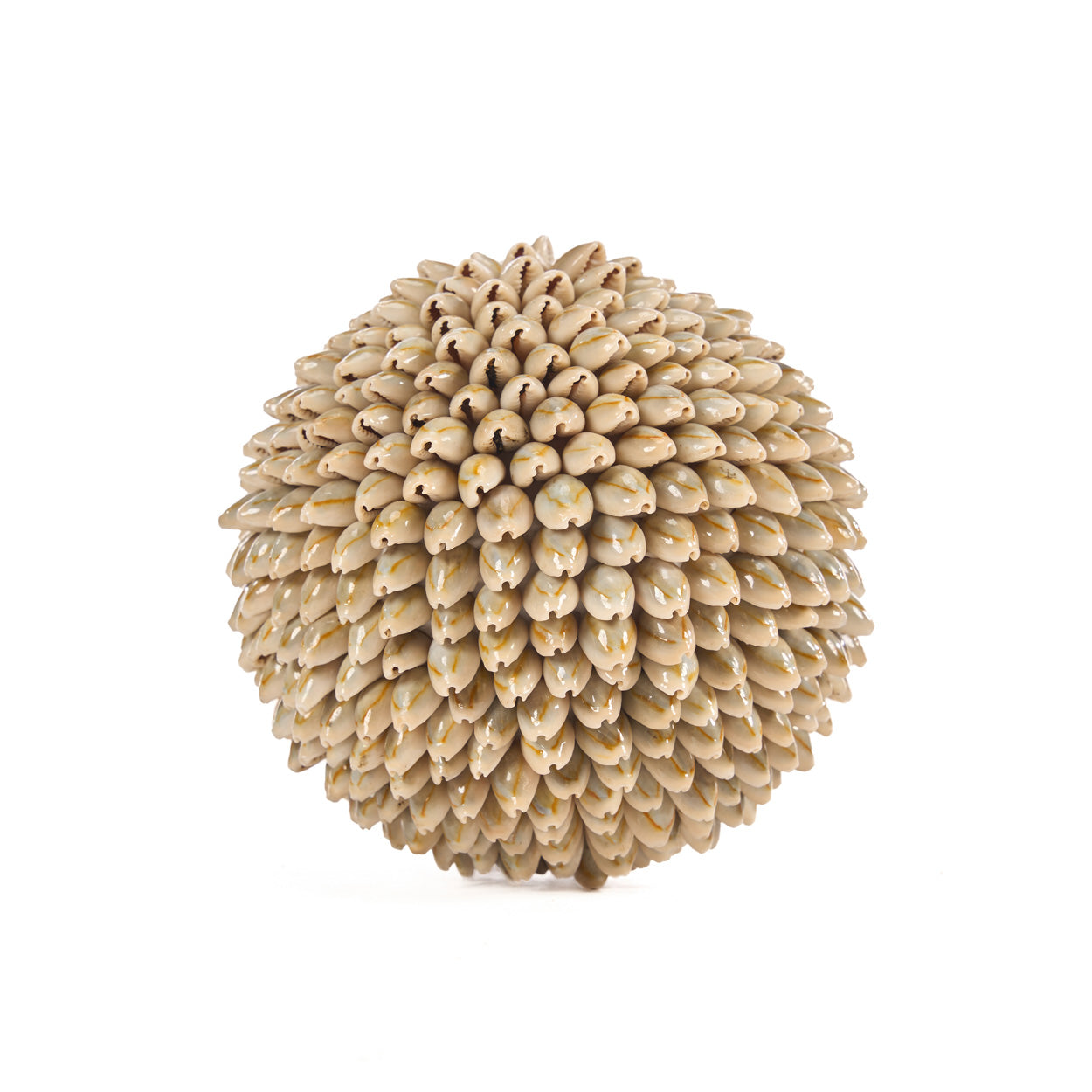 shell-ball-l