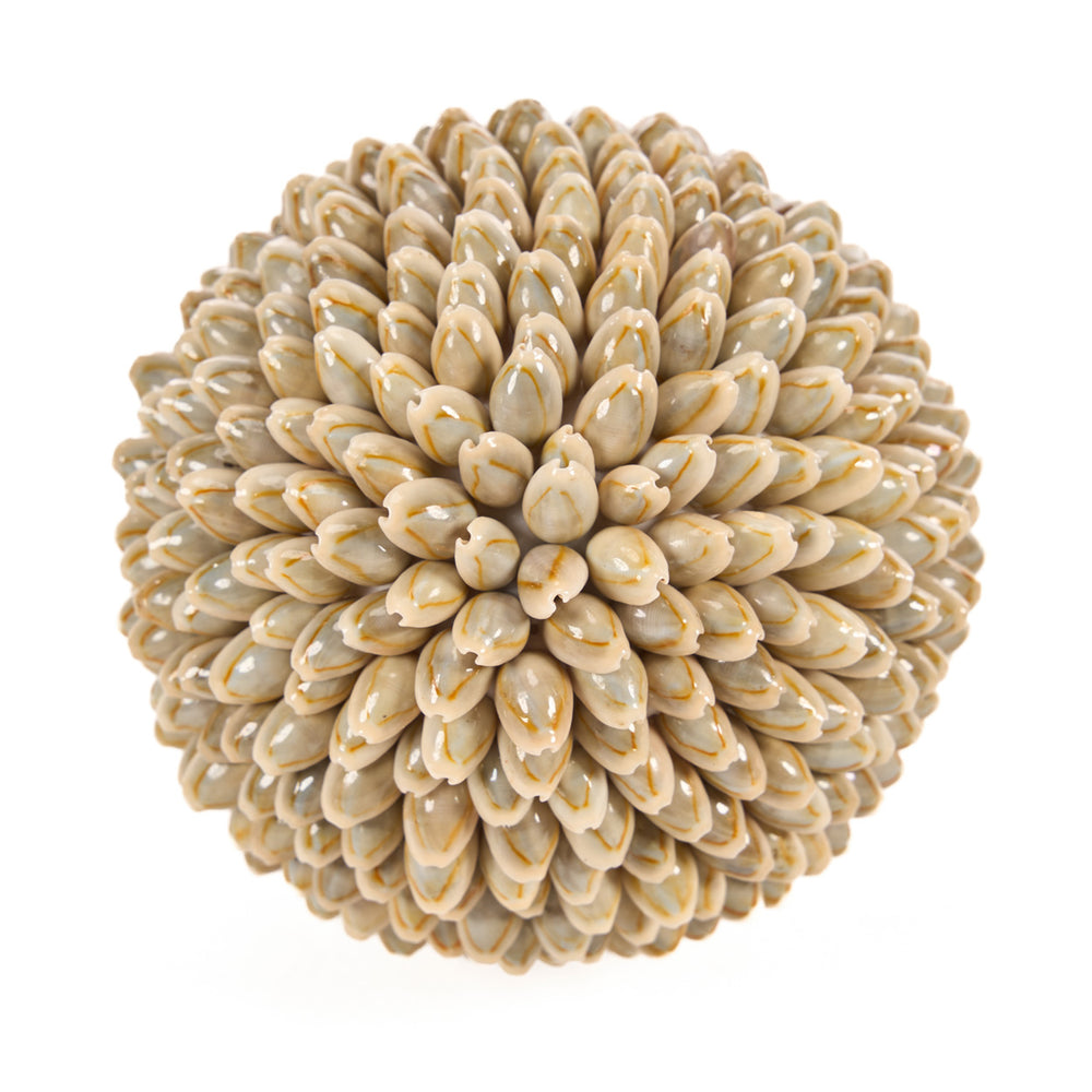 shell-ball-l
