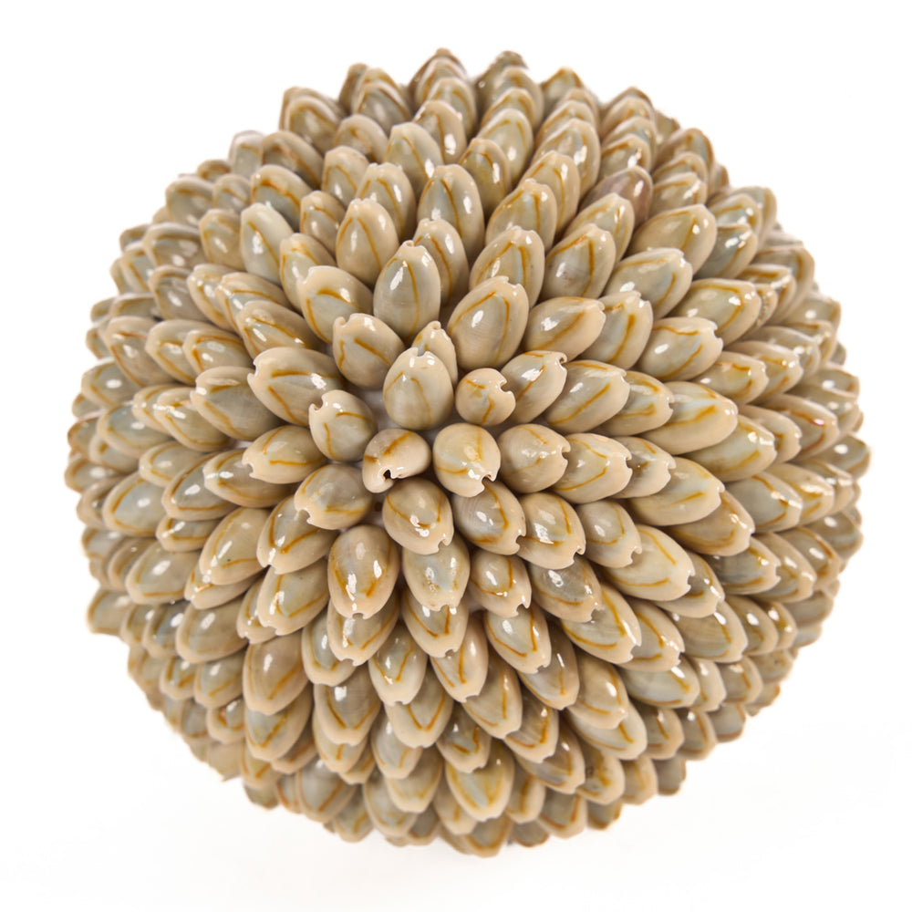 shell-ball-l