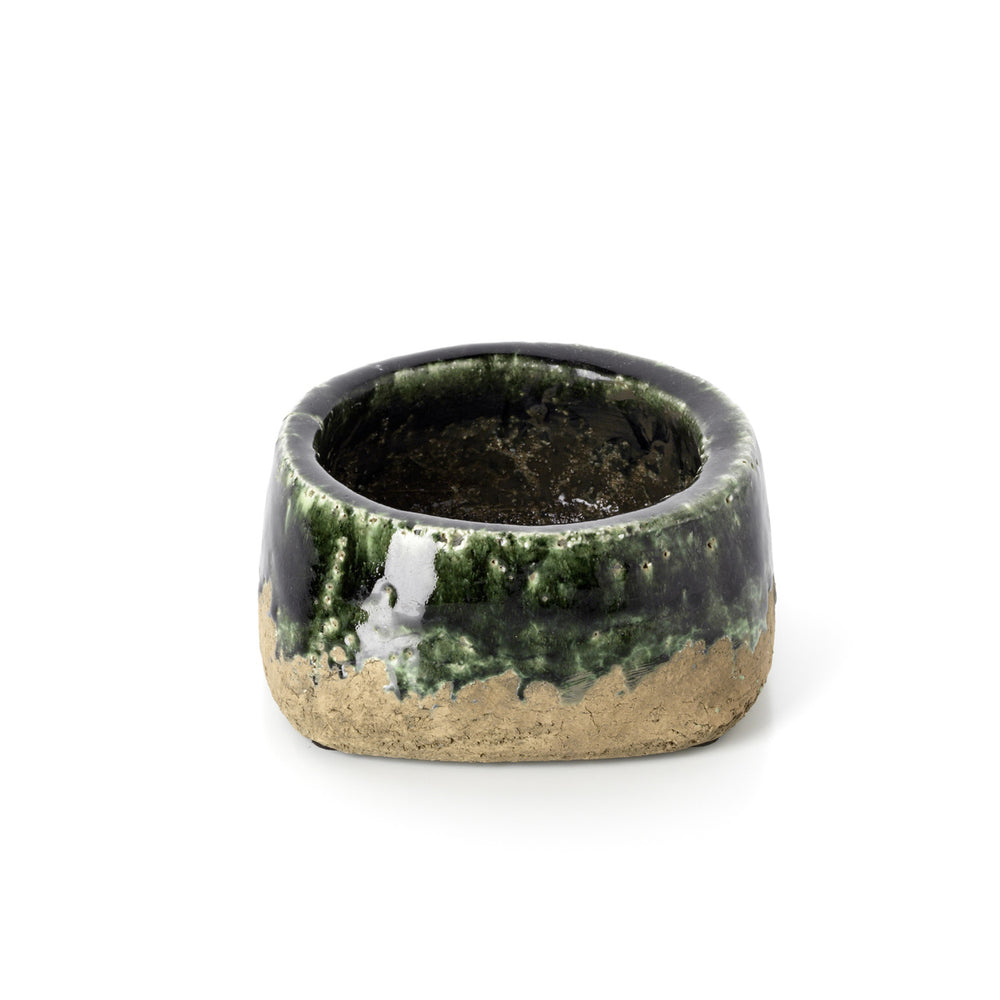 the-moss-bowl-planter-concrete-green-low