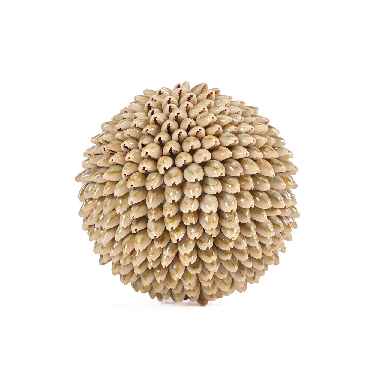 La Oluolu Shell Sfera - L