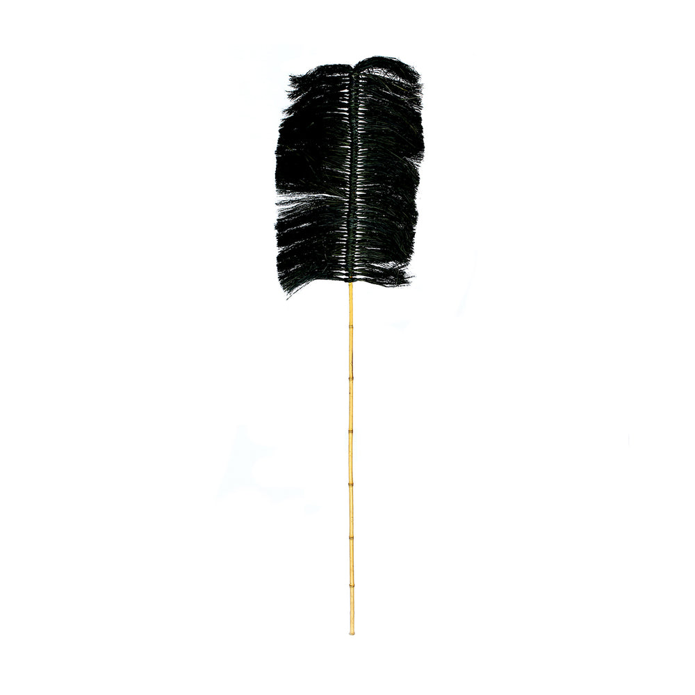 La Palmera De Rafia - Negra