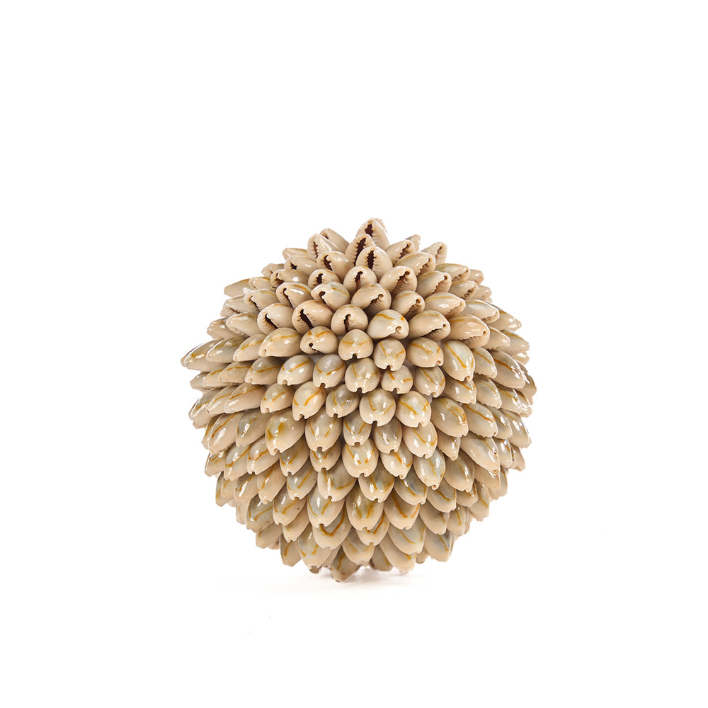 La Oluolu Shell Sfera - S