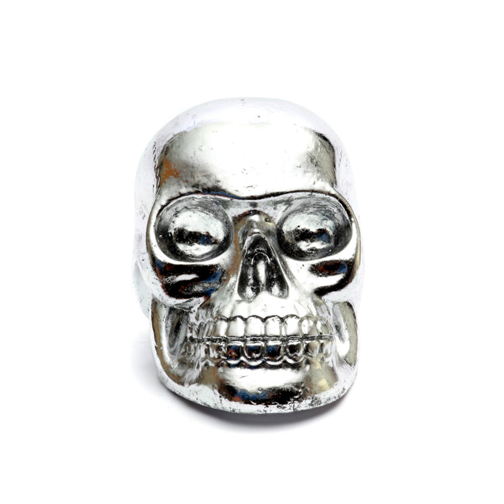 De Resin Skull Head Schedel Silver M
