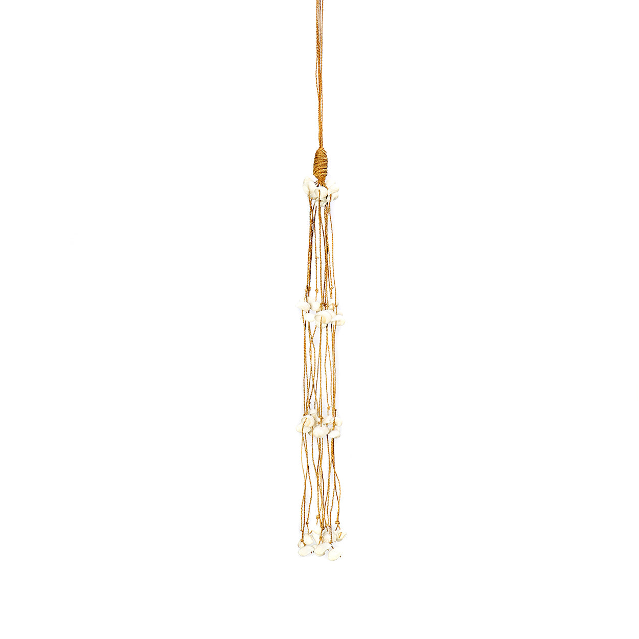 Le Long Shell Gland - Blanc