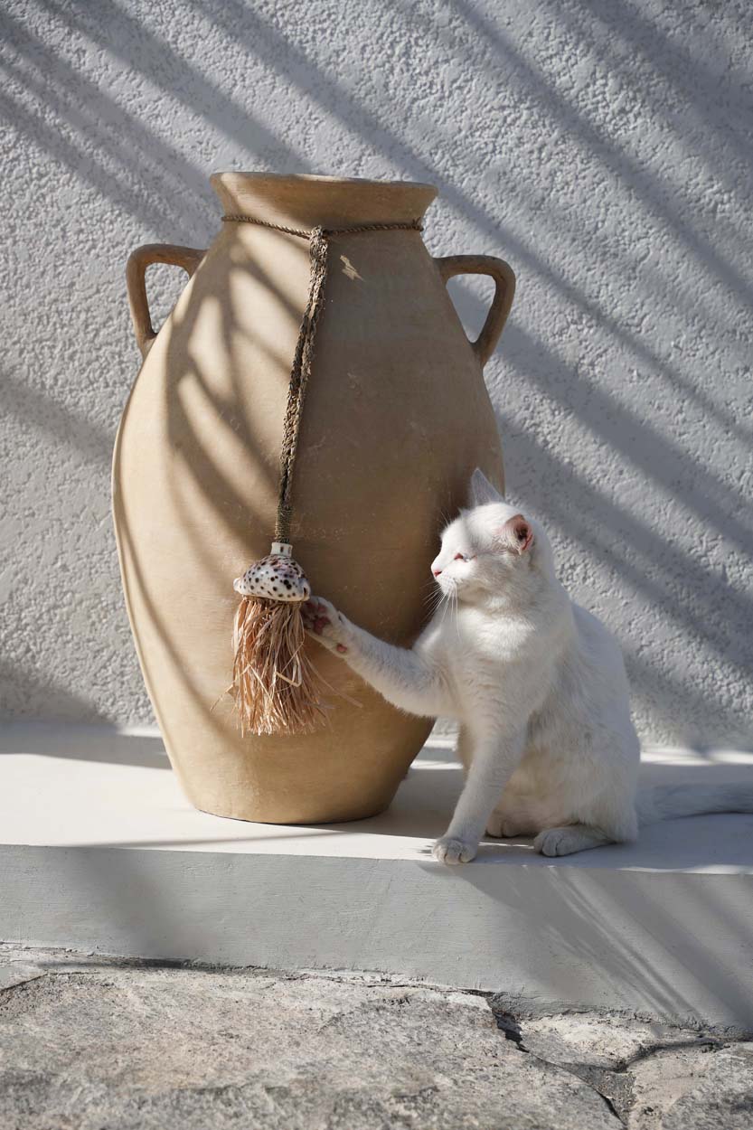 La Borla Raffia Lupina - Natural