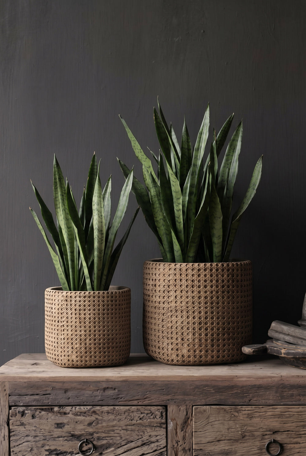 Der RattanRock Pflanzkübel - Natur - XL