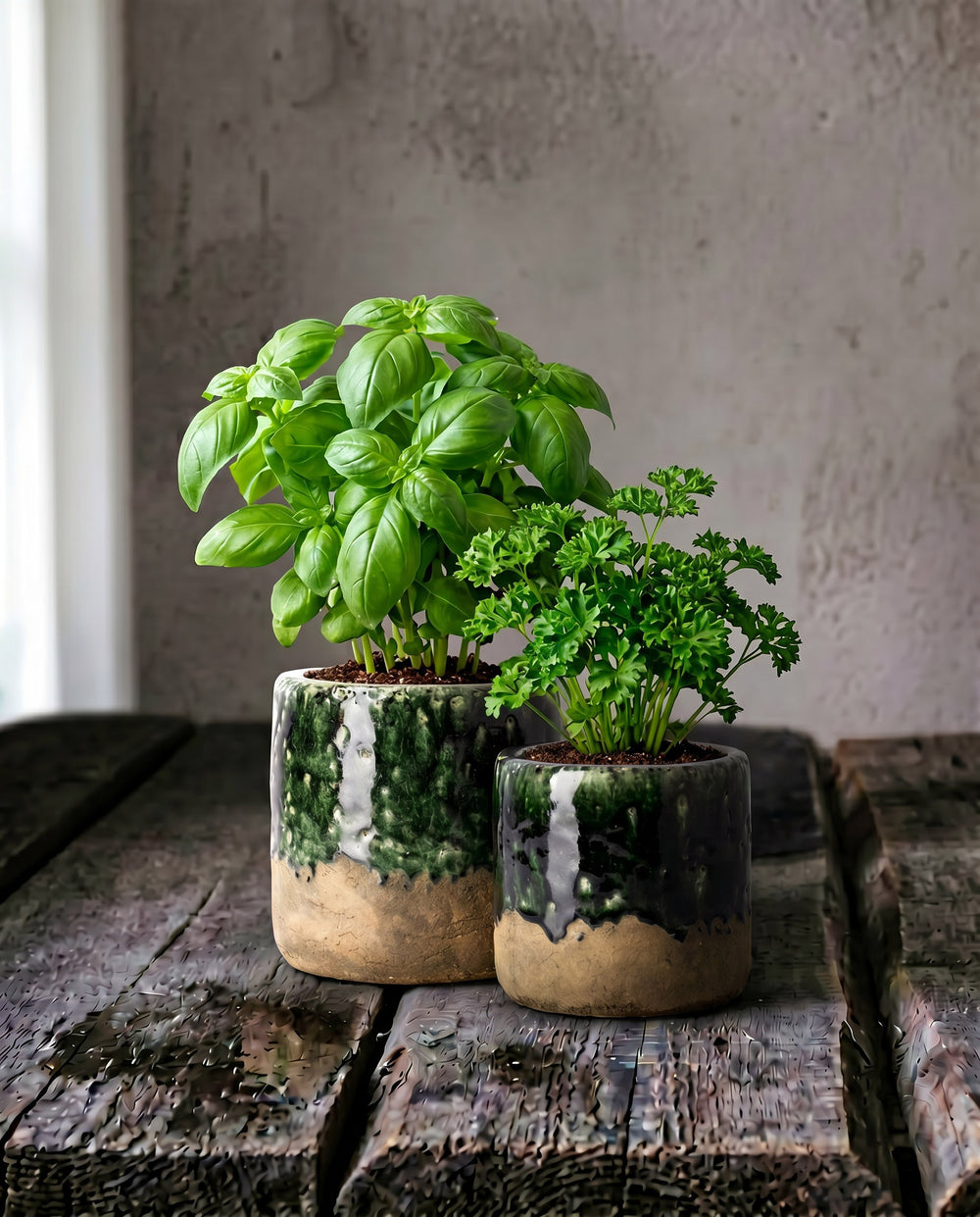 The Moss Planter - Concrete Green - S