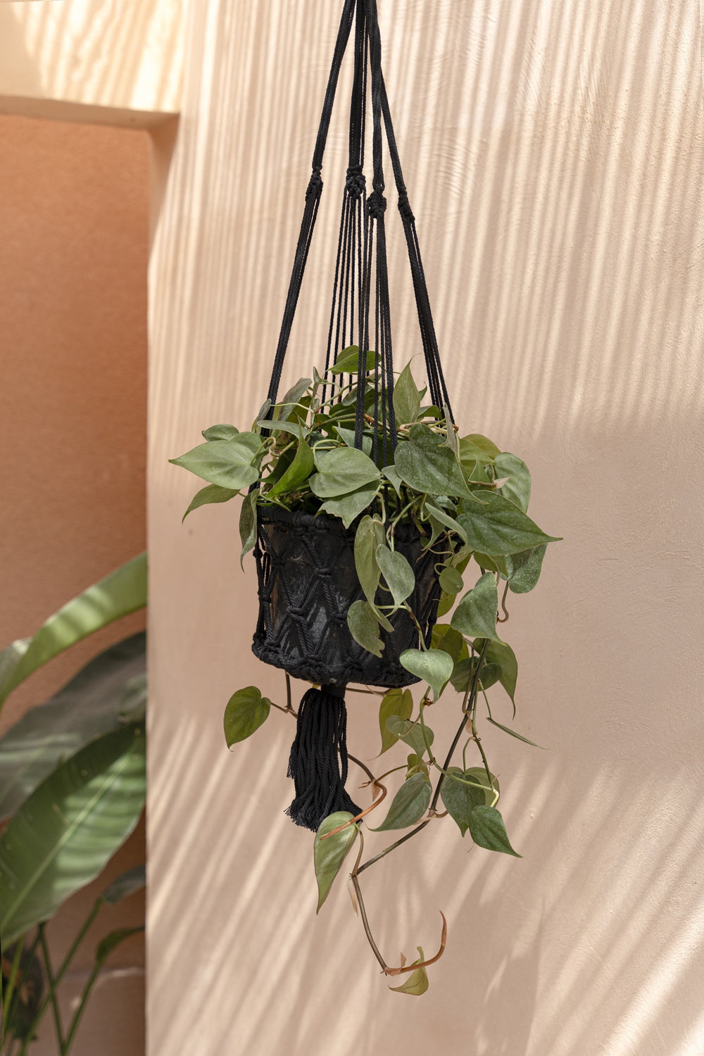 The Macrame Plant Holder - Black - M