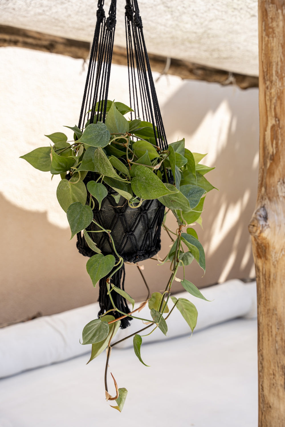Le Porte-Plante Macramé - Noir - L