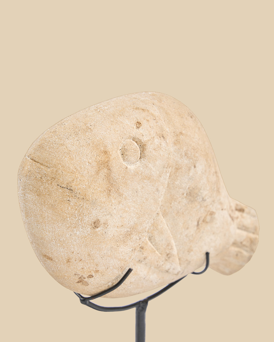 The Fish Stone on Stand - S