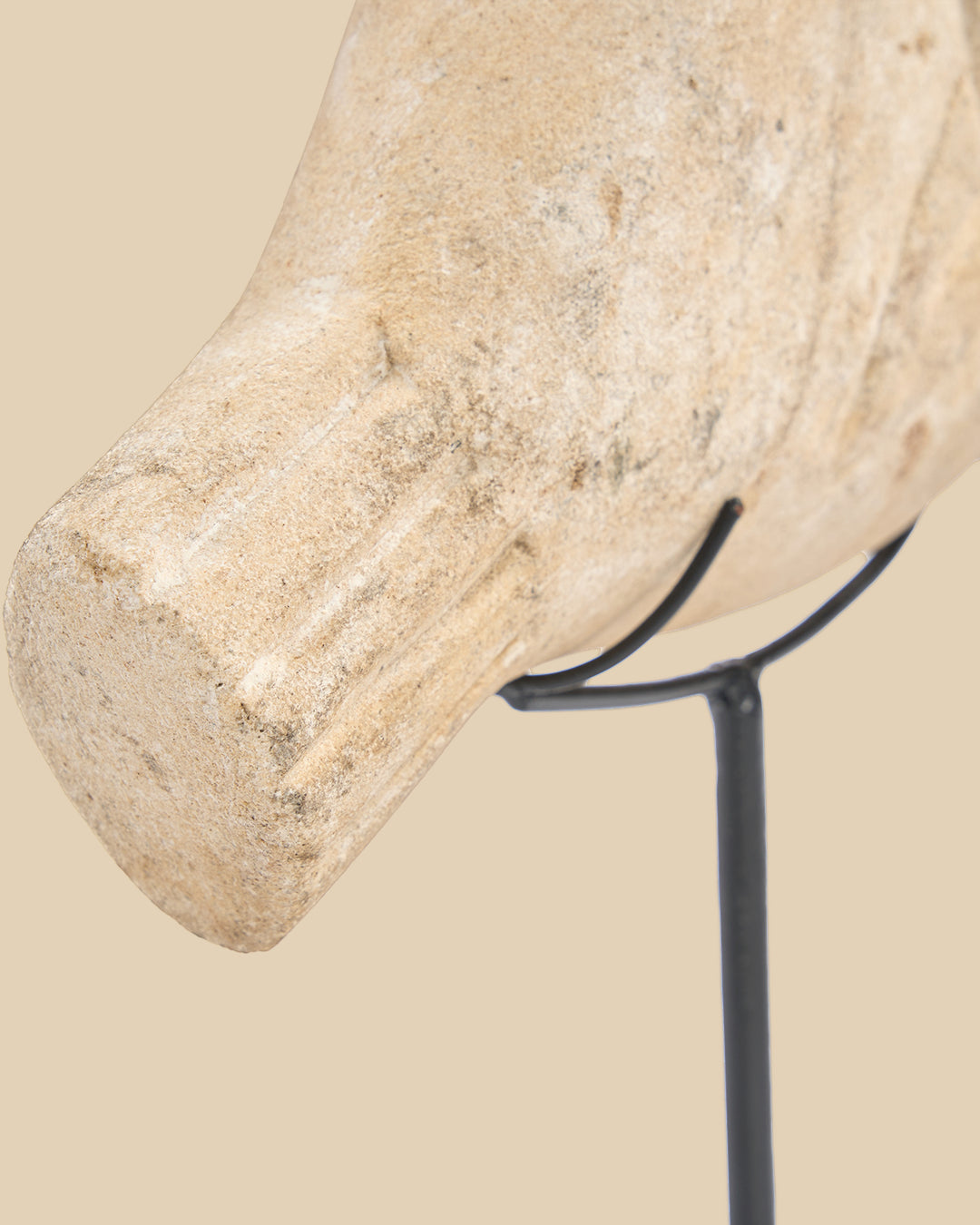 The Fish Stone on Stand - S