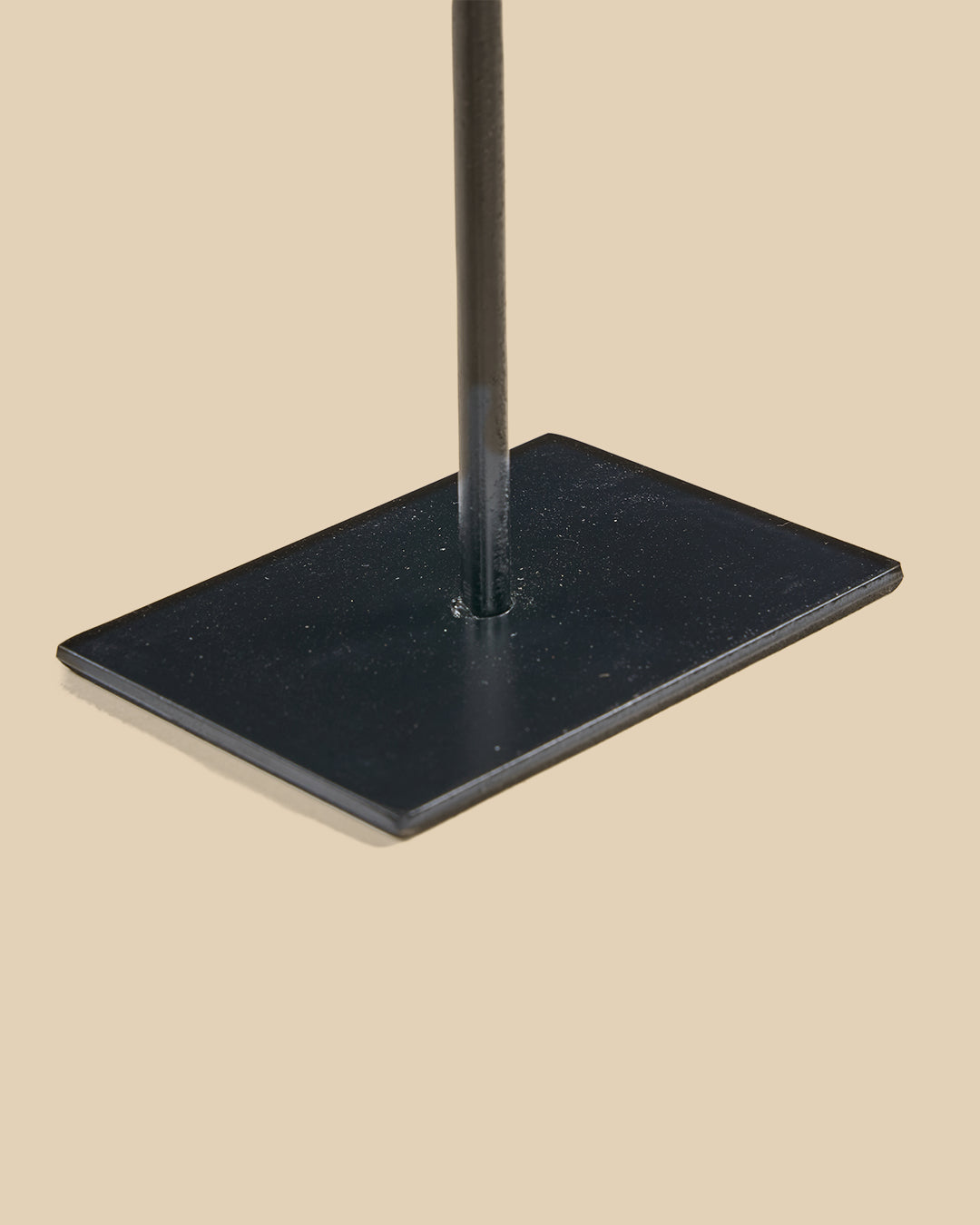 The Fish Stone on Stand - S