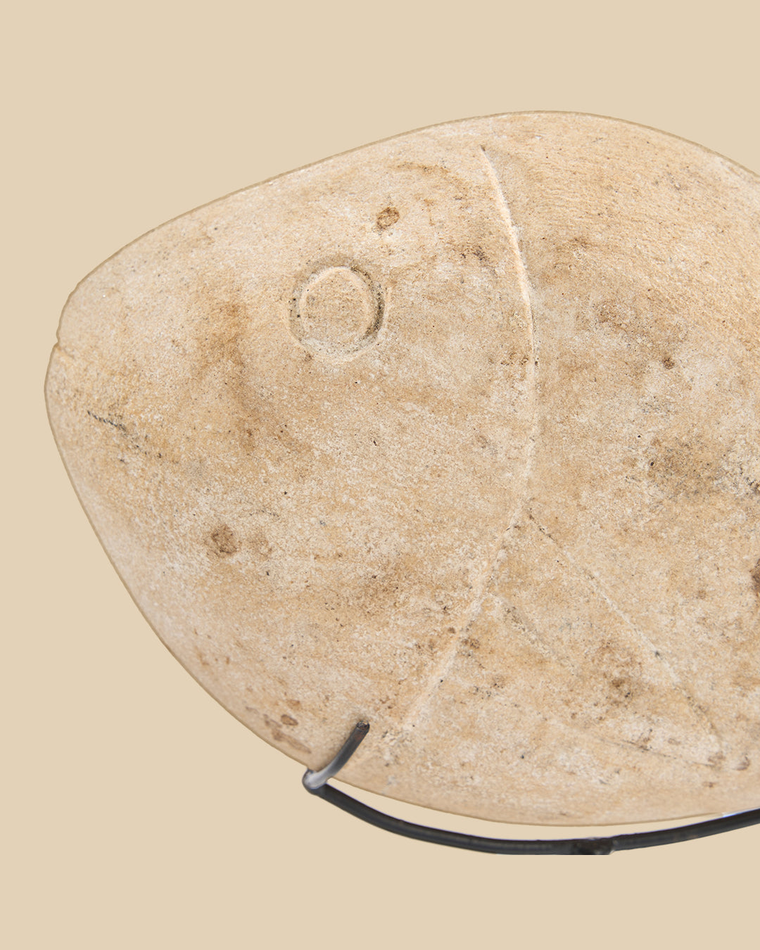 The Fish Stone on Stand - S