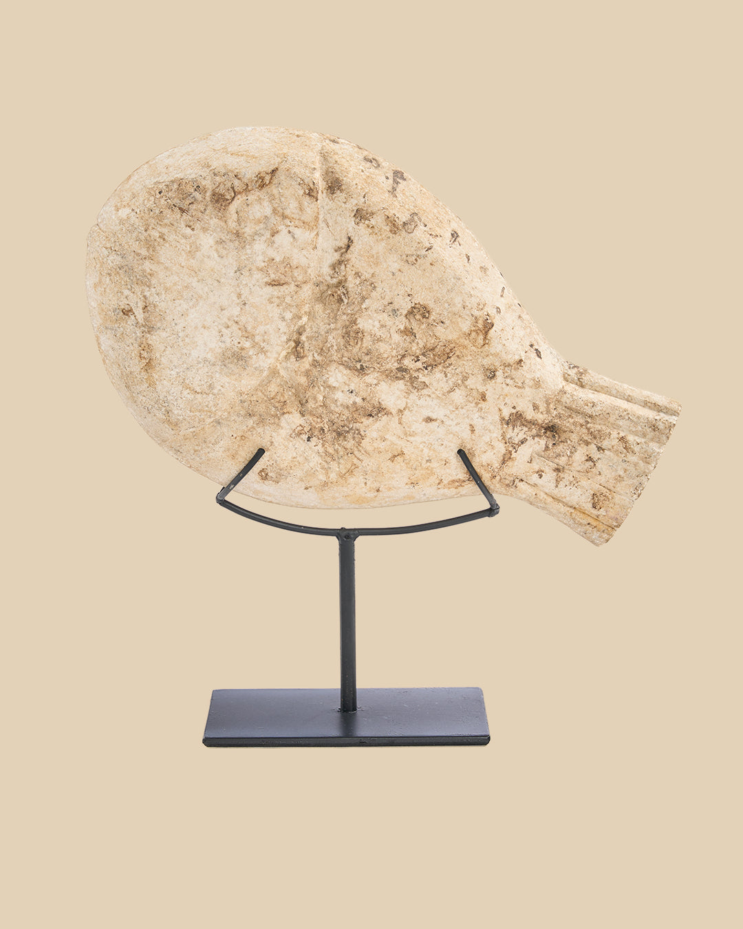 The Fish Stone on Stand - S