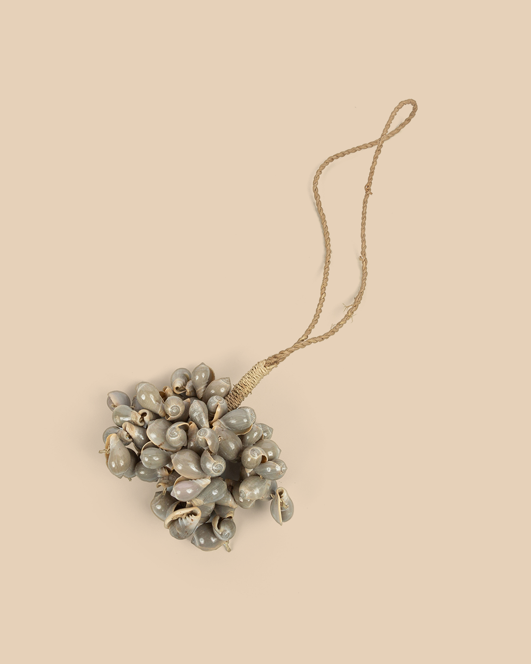 La Nappa A Conchiglia Grigia