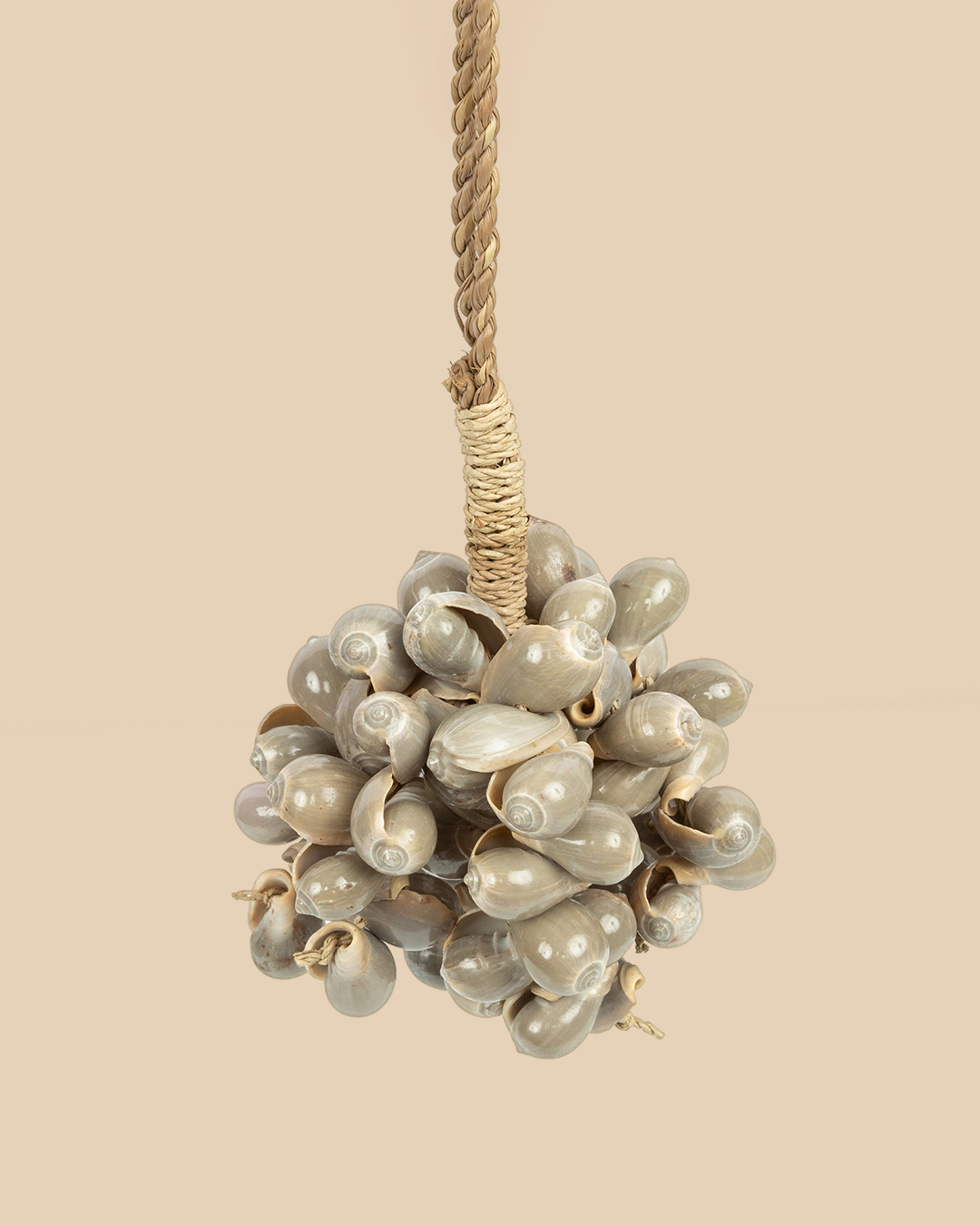 La Nappa A Conchiglia Grigia