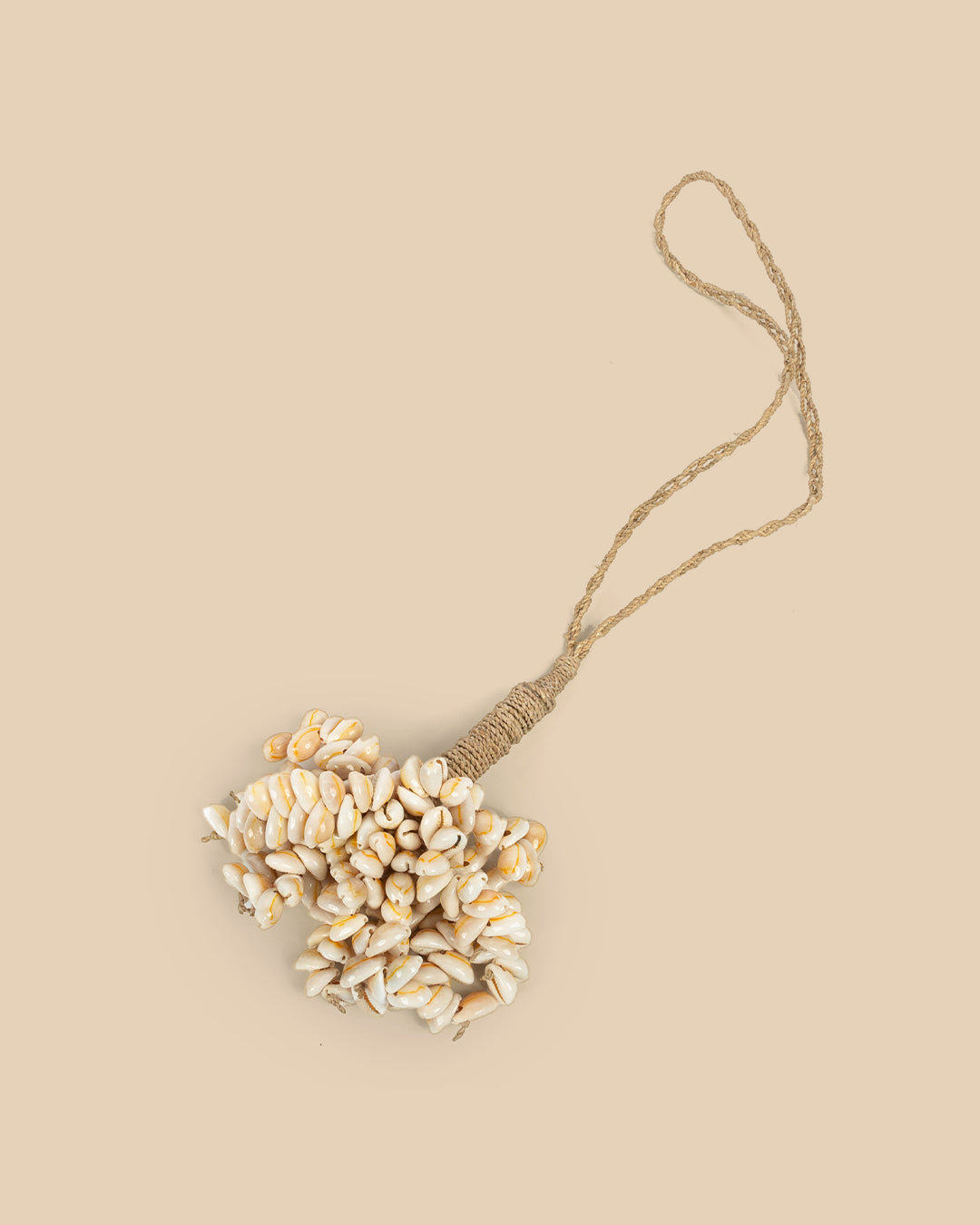 La Nappa Con Guscio Di Vaniglia