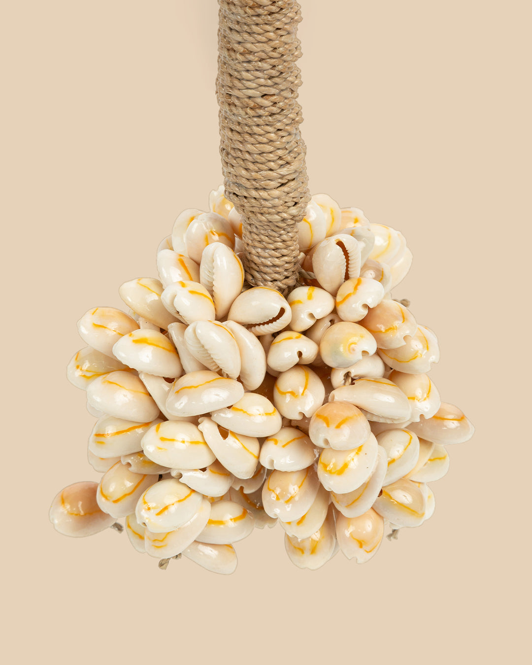 La Nappa Con Guscio Di Vaniglia