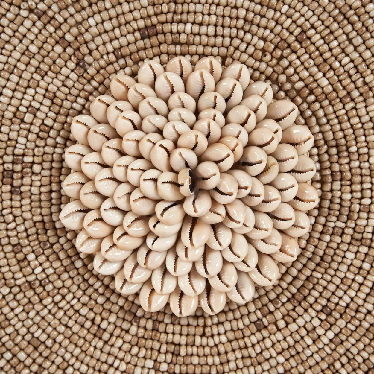 the-shell-guadeloupe-on-stand-natural-white