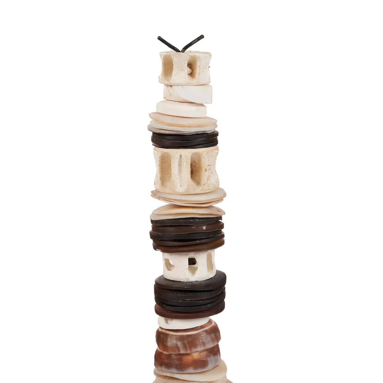 the-money-shell-on-stand-black-white-l